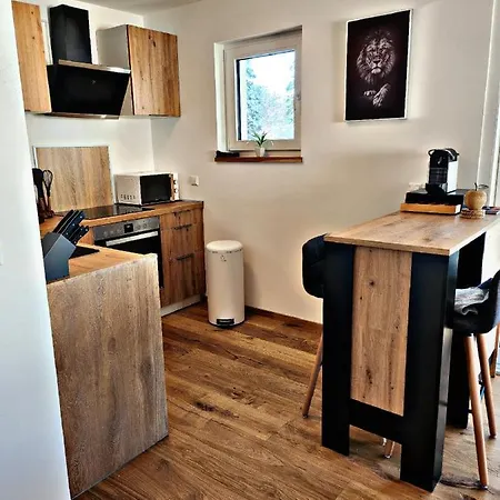 Lions Place Premium Apartments Executive Luxus Penthouse Inklusive Spa Heidenheim an der Brenz Extérieur photo