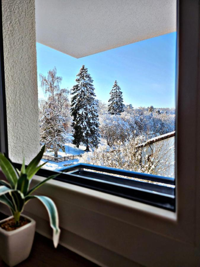 Apartment Lions Place Premium Executive Luxus Penthouse Inklusive *
