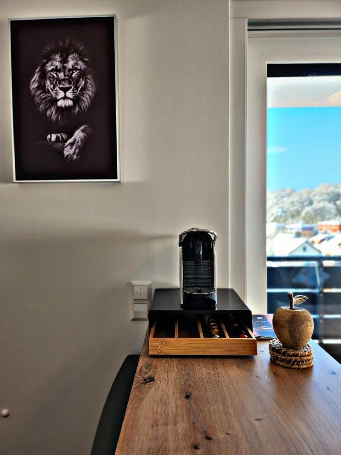 Lions Place Premium Executive Luxus Penthouse Inklusive Heidenheim