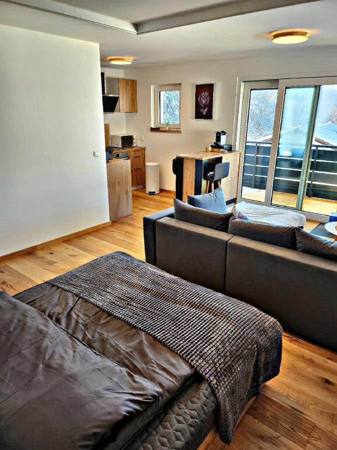Apartment Lions Place Premium Executive Luxus Penthouse Inklusive Heidenheim