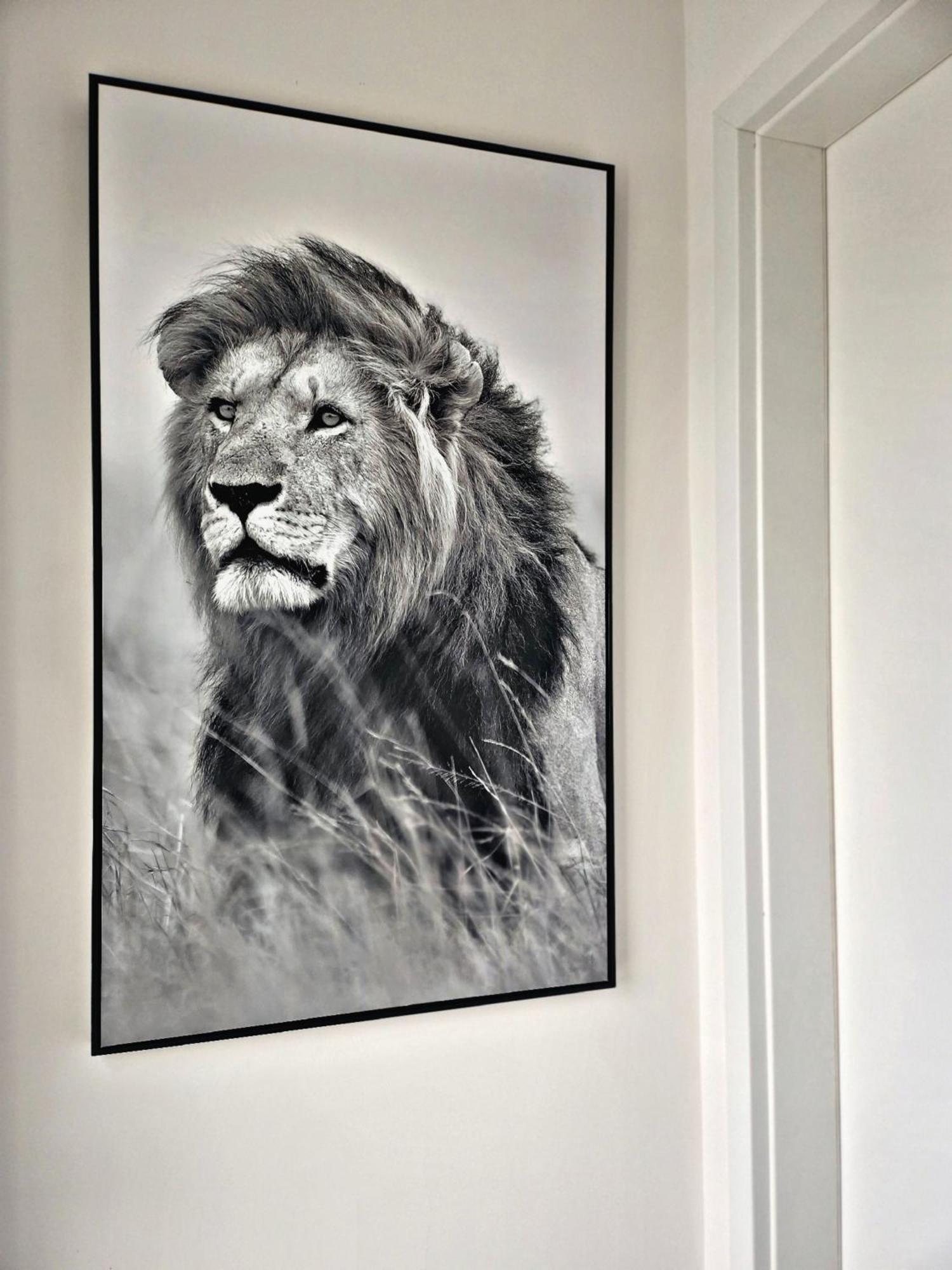 Apartment Lions Place Premium Executive Luxus Penthouse Inklusive Heidenheim