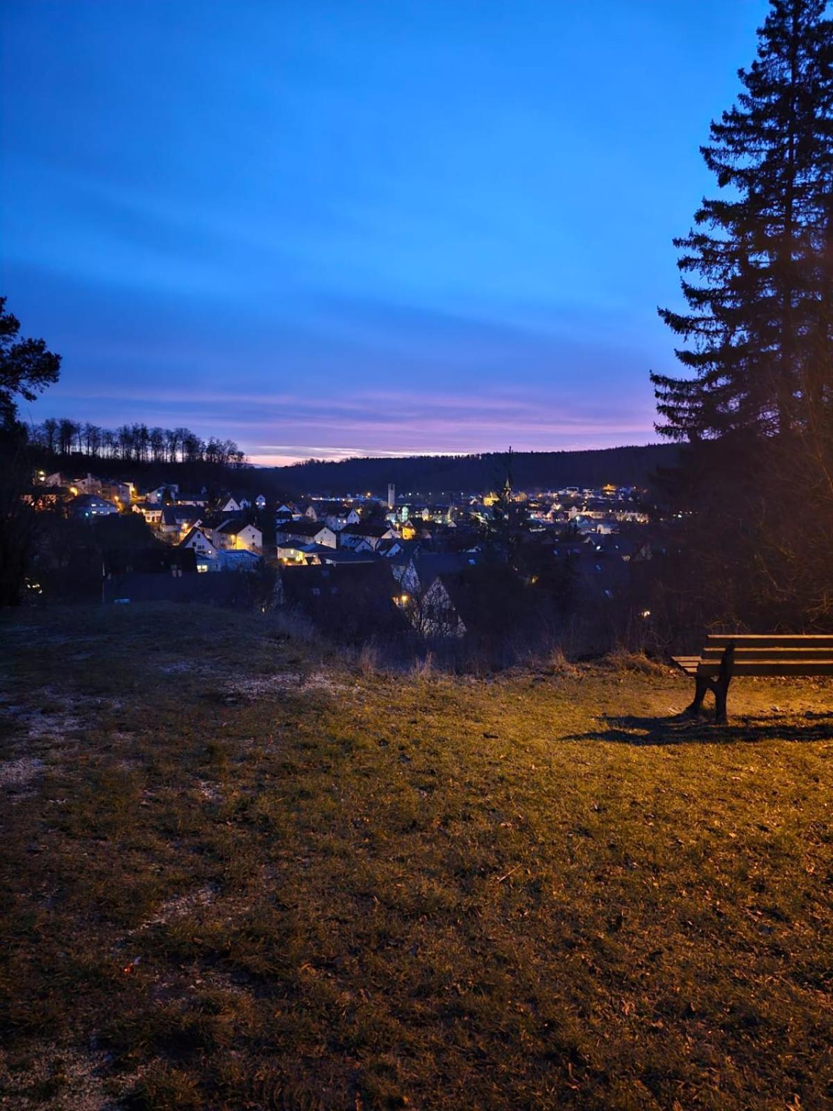 Apartment Lions Place Premium Executive Luxus Penthouse Inklusive Heidenheim